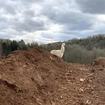 Du Grand-duc, Au Coeur D'un Tiers-lieu Yvoir