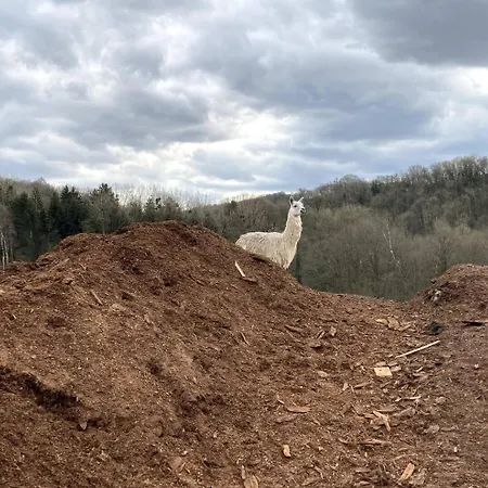 Du Grand-duc, Sejour Au Coeur D'un Tiers-lieu Yvoir
