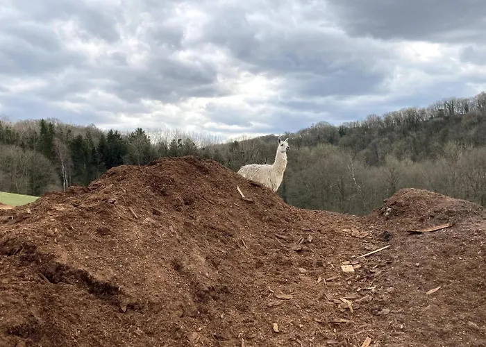 Du Grand-duc, Sejour Au Coeur D'un Tiers-lieu Yvoir