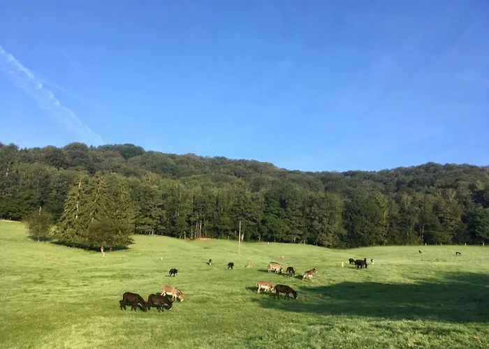 Du Grand-duc, Sejour Au Coeur D'un Tiers-lieu Yvoir